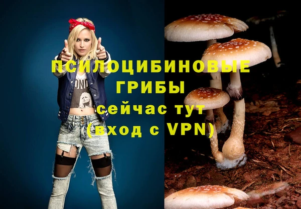 ALPHA-PVP Вязники