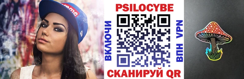 Псилоцибиновые грибы GOLDEN TEACHER продажа наркотиков Могоча